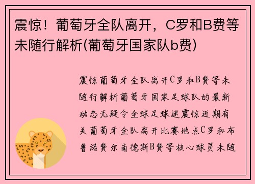 震惊！葡萄牙全队离开，C罗和B费等未随行解析(葡萄牙国家队b费)